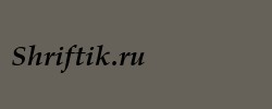 Palatino Bold Italic 